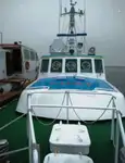 1996 Pilot Boat For Sale & Charter